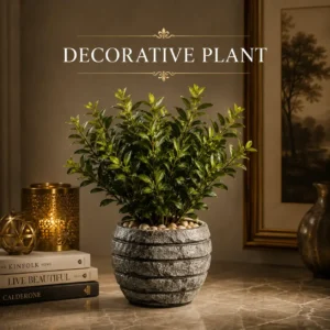 Decorative Plant