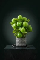 Elivera Apple Pure - Silver Stone Pot