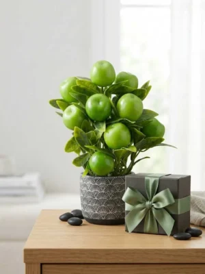 Elivera Apple Pure – Silver Stone Pot 2