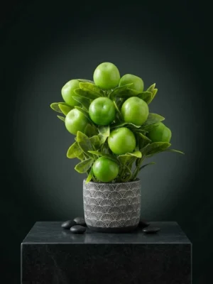 Elivera Apple Pure - Silver Stone Pot