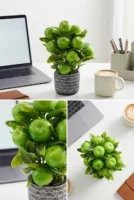 Elivera Apple Pure - Silver Stone Pot
