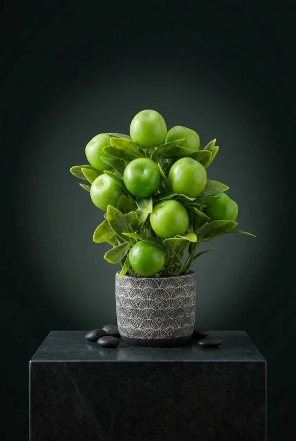 Elivera Apple Pure - Silver Stone Pot