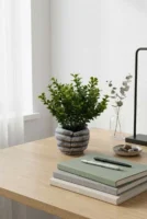 Elivera HoldNature Hand Planter - Classic Green Stone Pot