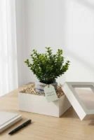 Elivera HoldNature Hand Planter - Classic Green Stone Pot