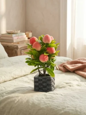 Elivera Peach Fruit Charm – Square Stone Pot 2