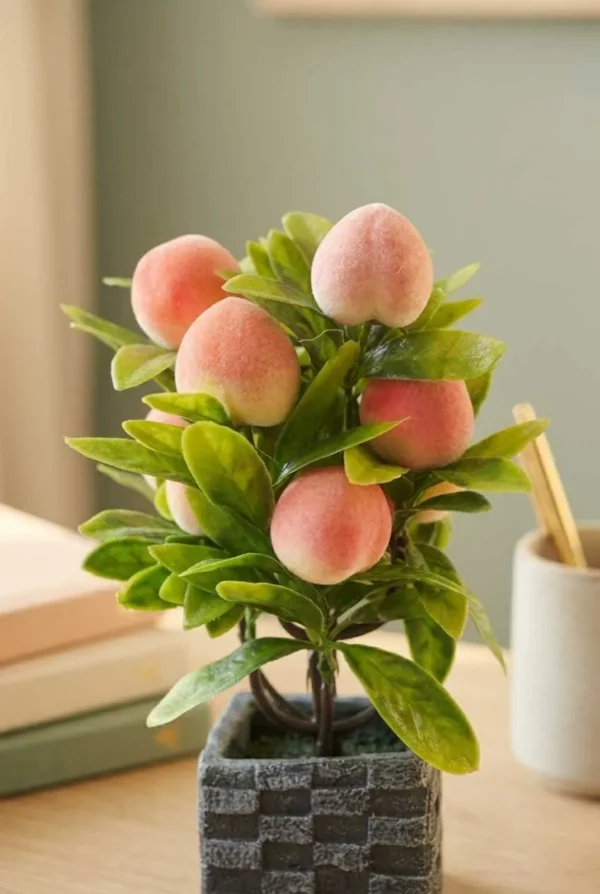 Elivera Peach Fruit Charm - Square Stone Pot