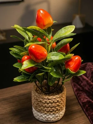 Elivera Strawberry Nest – Dual Tone Stone Pot 2