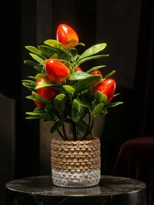 Elivera Strawberry Nest - Dual Tone Stone Pot